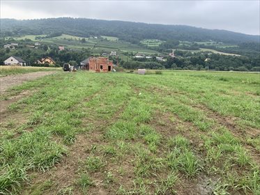 Działka budowlana na sprzedaż Ujanowice 1 000m2 Foto 2