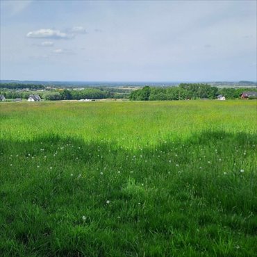 działka na sprzedaż 3033m2 działka Jasienica, Jaworowa