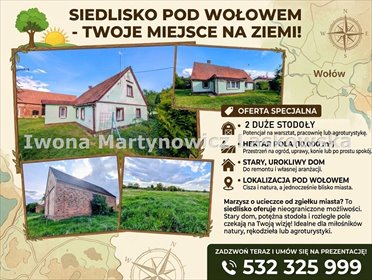 Sprzedam dom 84 m² z budynkami i polami 1,18 ha w Boraszynie dom Boraszyn