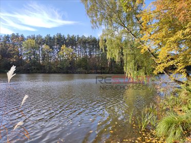 Działka 1500 m² z mediami, MPZP, blisko Zalewu Grzymek działka Bieniewiec
