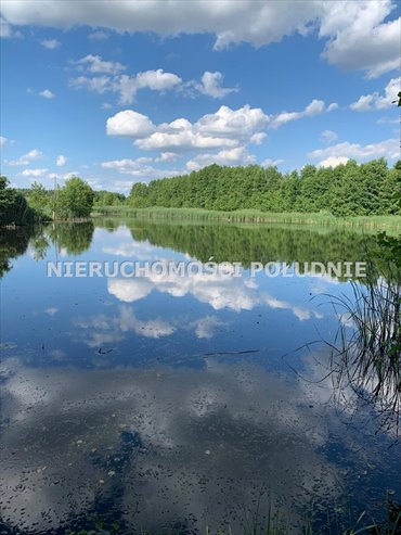 działka na sprzedaż 39613m2 działka Sulechów