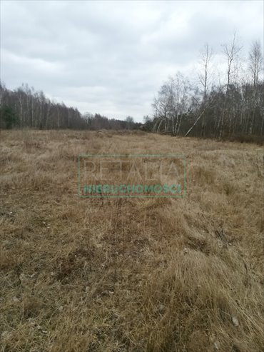 działka na sprzedaż 1500m2 działka Czarny Las