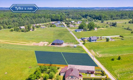 Działka budowlana na sprzedaż Pustkowie Lgockie, Różana 7 006m2 Foto 5