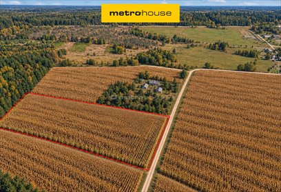 działka na sprzedaż 34000m2 działka Korabiewice