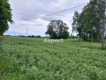 działka na sprzedaż 23251m2 działka Jastrzębie-Zdrój, Szeroka