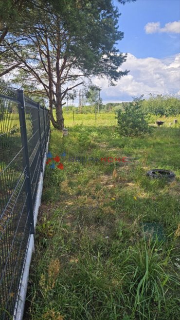 Działka 1500 m2 z domkiem i mediami w Czarnym Lesie. działka Czarny Las