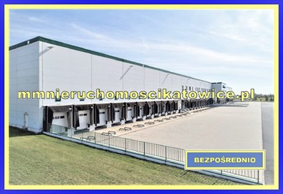magazyn na wynajem 9117m2 magazyn Piotrków Trybunalski