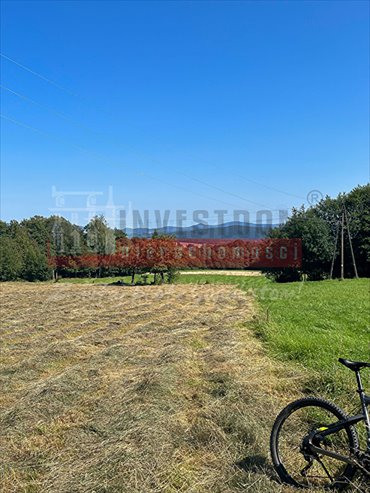 działka na sprzedaż 6120m2 działka Stara Łomnica