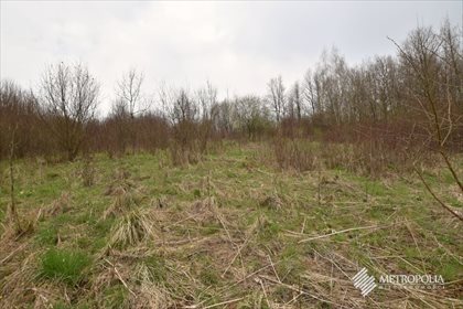 Działka rekreacyjna na sprzedaż Zręczyce 10 287m2 Foto 5
