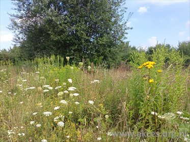 działka na sprzedaż 3290m2 działka Prace Duże