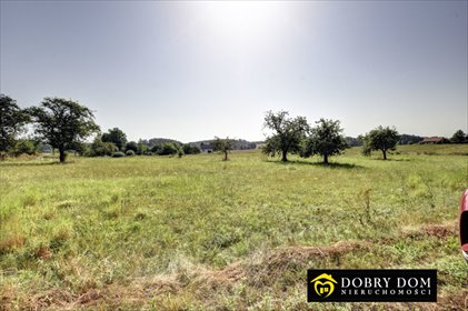 działka na sprzedaż 3149m2 działka Podleńce