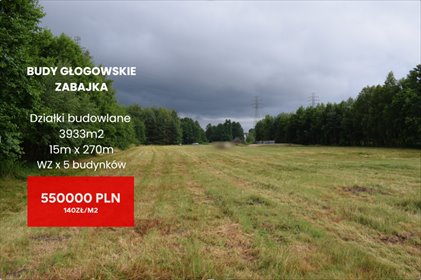 działka na sprzedaż 3933m2 działka Budy Głogowskie