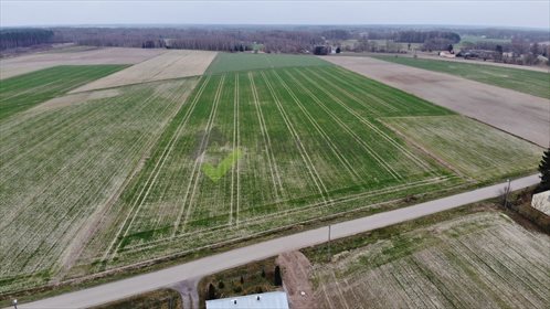 Działka rolna na sprzedaż Strzeszewo 3 000m2 Foto 5