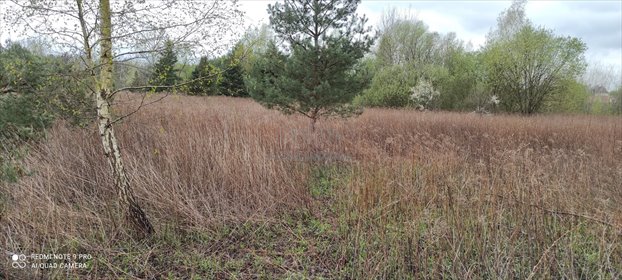 Działka rolna 1781 m² w Kawęczyńku - brak zabudowy działka Kawęczynek, Prosta