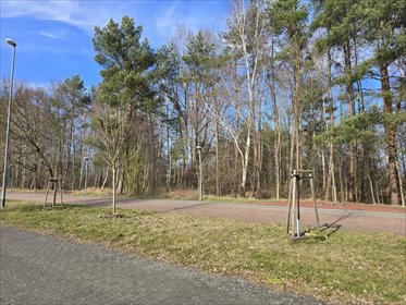 działka na sprzedaż 1001m2 działka Trzebież