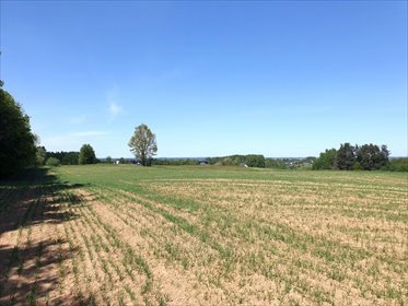 Działka budowlana na sprzedaż Przyjaźń 14 260m2 Foto 5