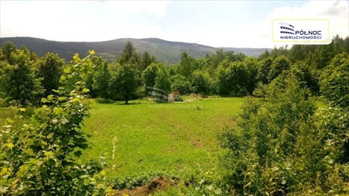 działka na sprzedaż 8239m2 działka Kowary, Karkonoska