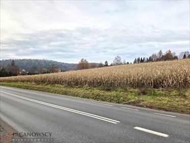 działka na sprzedaż 8302m2 działka Januszowice