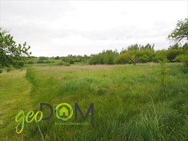 Dom na sprzedaż Dorohusk, Jana Pawła II 300m2 Foto 5