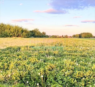 działka na sprzedaż 1000m2 działka Święcice