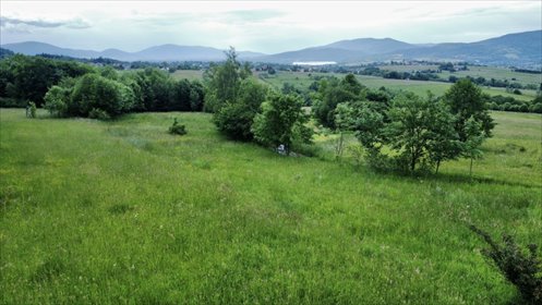 działka na sprzedaż 1100m2 działka Rychwałd