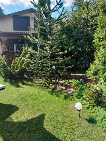 Działka ROD z domkiem 60 m², nasadzenia, wyposażenie polecam dom Szczecin, Żelechowa