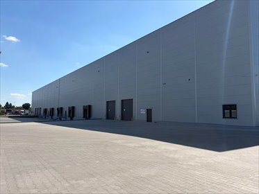 lokal użytkowy na wynajem 4611m2 lokal użytkowy Wyszków, Wyszków