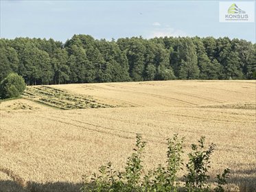 działka na sprzedaż 31000m2 działka Opatów