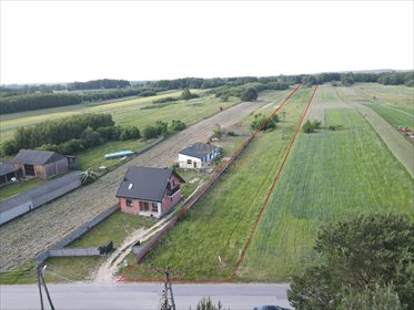 Duża działka rolna 14 300 m² z prądem i dostępem do drogi działka Opoczno, Kolonia Libiszów
