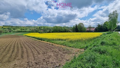 Działka budowlana na sprzedaż Wysoka Strzyżowska 4 300m2 Foto 3