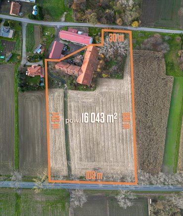 Teren inwestycyjny 1,6 ha (MN/P1 + MN1) | Nowizna działka Nowizna