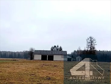 działka na sprzedaż 90000m2 działka Gałkowice Stare, Włodzimierz