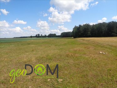 Działka rolna na sprzedaż Pojelce 38 830m2 Foto 3