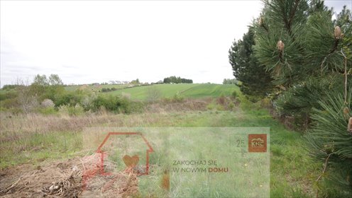 działka na sprzedaż 9622m2 działka Jakubowice Konińskie