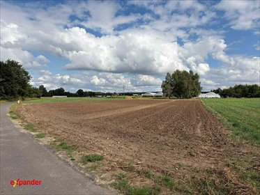 Działka 4180 m² z mediami, asfalt, otulina przyrody działka Kalisz