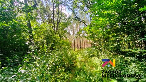 działka na sprzedaż 1033m2 działka Zielona Góra, Ochla