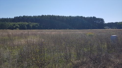 Działka bez planu z mediami, gotowa pod zabudowę działka Kunowice