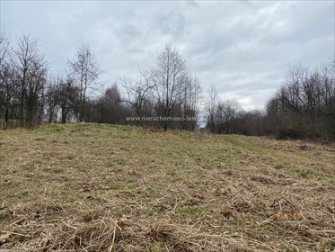 działka na sprzedaż 2500m2 działka Półwieś