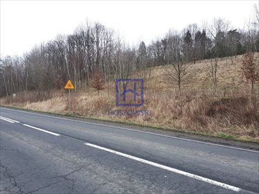 Działka budowlana na sprzedaż Kościelniki Górne 2 789m2 Foto 1