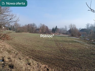 działka na sprzedaż 5200m2 działka Ocice