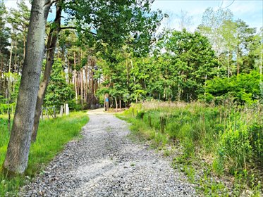 Do sprzedania działka 1117 m² w spokojnej okolicy Nadarzyna działka Strzeniówka, Pruszkowska