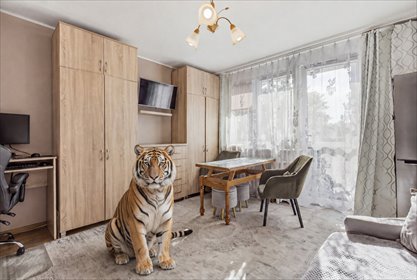 mieszkanie na sprzedaż 26m2 mieszkanie Warszawa, Wola, Elekcyjna