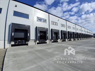 Nowoczesny magazyn 2160 m² z dokami i biurem polecam magazyn Jasionka