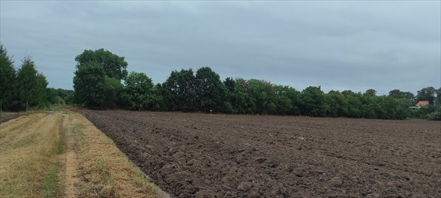 działka na sprzedaż 6700m2 działka Gdańsk Świbno, świbno, Uzdrowiskowa, Uzdrowiskowa