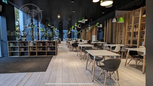 lokal użytkowy na wynajem 499m2 lokal użytkowy Wrocław, Śródmieście, Grunwaldzki