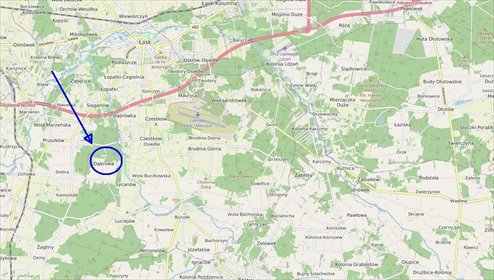 Działka rolna 14 874 m² w Dąbrowie - asfaltowa droga działka Dąbrowa