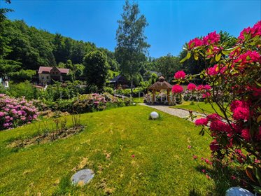 lokal użytkowy na sprzedaż 838m2 lokal użytkowy Jelenia Góra