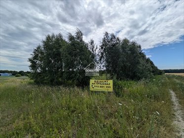 Działka 3107 m² z warunkami zabudowy - polecam działka Żołędowo