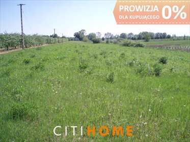 działka na sprzedaż 3500m2 działka Sobienie-Jeziory