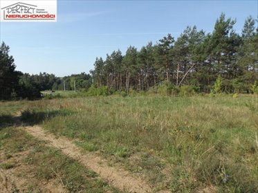 działka na sprzedaż 7200m2 działka Wielki Głęboczek